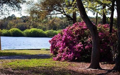 Twin Lakes Camp Resort DeFuniak Springs Exteriör bild